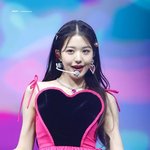 [추천선플만] 장원영은 왜 억까가 많은데도 결국 1위일까?