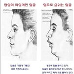 내 얼굴형 <b>완전</b> 이거랑 똑같은데 고칠수있는 법 없나