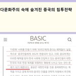 중국의 한국 <b>침투</b> ............................