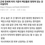 솔직히 이게 ㄹㅇ <b>불편</b>한 진실같음