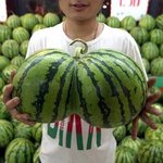 [싸게<b>팝</b>니다] 가만히있어보세요