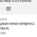 근데 임보는 <b>파양</b>이 아닌 이유가 뭐야?