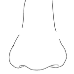 코<b>수술</b>