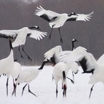 데이트 <b>로망</b>