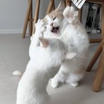 그럴 <b>일</b>이 있다 ^^