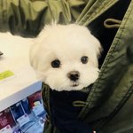 [댓글부탁해] 정신과 <b>의사</b> 바꿔본 분 있나요?