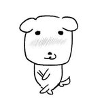 아이돌 <b>영상</b>회 가본사람 있음?