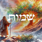 [유다이즘] 파라샤 쉐모트(שמות) 요약