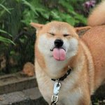 <b>아직</b>도