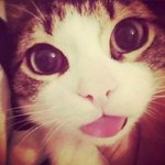 판녀가오늘먹은것들