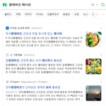 [이것좀봐줘] 네이버 블로그 근황