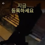 이거 범죄 아니야?