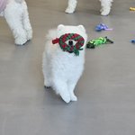 대학 관련해서 마음이 <b>복잡</b>함