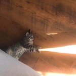 요즘 <b>의사들</b> 잘생긴사람 많지않냐