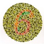 이게 <b>보임</b>?