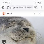 [대학좋냐] 현재 대학<b>재학</b>X사람들에게 장려금 월10지원