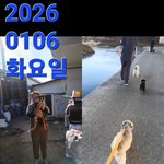 유기<b>동물</b> 봉사활동