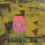 나 <b>마크</b>에서 핑크색양봄