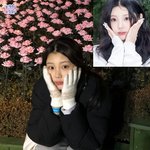 아일릿 <b>원희</b> 이방원따위에 묶지마라 이젠 국민 여동생임