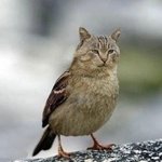 <b>쌍수</b> 2일차인데 봐줘라ㅠㅠ