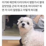 나 좀 특이했던 <b>미팅</b> 썰