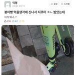 이거어디에<b>타일</b>끼