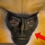 잘<b>생겻</b>나요?