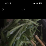 양심 ㅈㄴ 없는 <b>식당</b>이네 ㅋㅋㅋㅋ