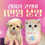 째롱아 너가 그리는 <b>미래</b>야??