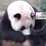 [19] 나만 <b>아이돌이</b> 섹시한춤 추는거보면 정떨어지냐