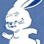 버니즈 팬덤 이 사진 뭐야..?