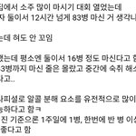 아니 술 이<b>정도</b>로 마시는게 가능함?