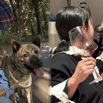 폭로와 엇갈린 이유 (+나혼산, 나 혼자 산다, <b>조부모</b>, 인스타그램)