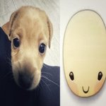 얘들아<b>번장</b> 인증