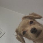 [19] 여친 있는데 자꾸 나 <b>의식</b>함