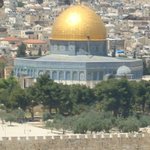 [테오시스] 사랑그리고