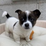 애 방송 자주내보내는 <b>부모들</b> 돈독오른거같음