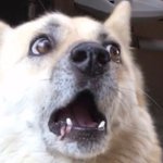 후에이에에에<b>이이</b>에잉