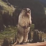 [댓글부탁해] 알바 빨리 구하고 싶은데 안 구해져서 <b>흑화</b>한 김판녀