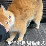 [<b>레이</b>] 베리레드톡)Tei:똑같은베갤베고서