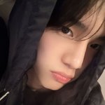 [댓글부탁해] 강아지들도 자기 인스타용으로 키우는 주인은 알아보는...