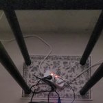 <b>러닝</b>머신중