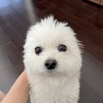 <b>진짜</b>
