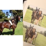 <b>켄달</b> 짭인거 누가 몰라