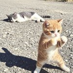<b>자고</b> 일어나니
