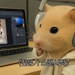 보인다 <b>보여</b>