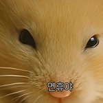 나는 햄찌 <b>이표정</b>이 젤좋다