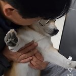 [드루와] 강아지는 입툭튀가 ㅈㄴ귀엽지않냐