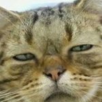 <b>어디</b>