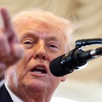 이번엔 (정말) 진짜다 (79)